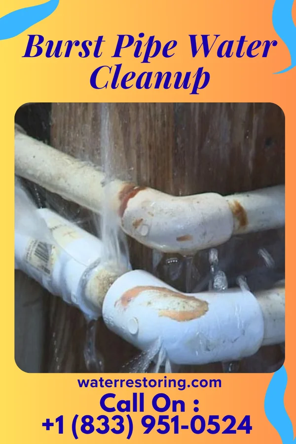 Burst Pipe Water Cleanup in Otis, KS