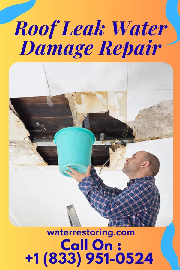 Roof Leak Water Damage Repair in Otis, KS